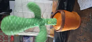 Baby Cactus