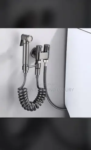 Modern and Moderate Bum Bum and Toilet Washer
