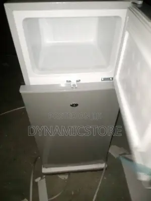 Skyrun 108l Double Door