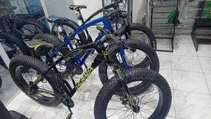 Photo - Fat Giant Tyre Bike Bicycle