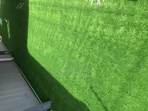 Grass Rugs for Homes