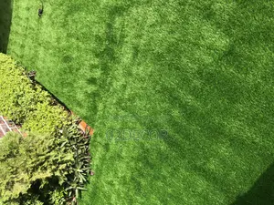 Grass Rugs for Homes