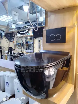 England Conceal Watercloset Black With Complete Accessories