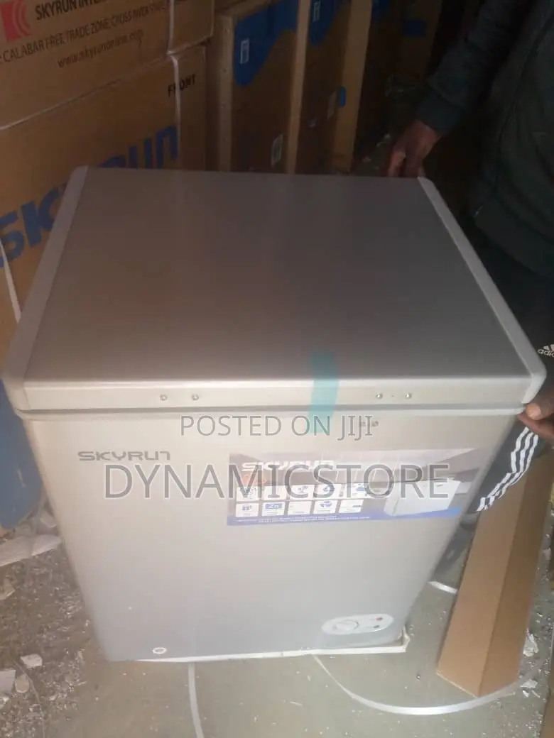 Skyrun Freezer 100L Silver (100HNM)
