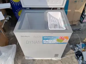 Skyrun Freezer Silver 145l (145a)