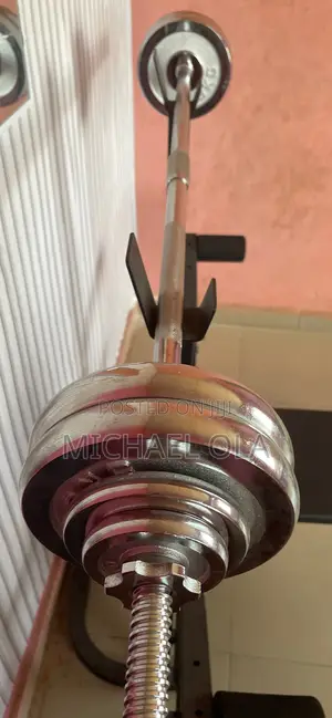 Weight and Bench