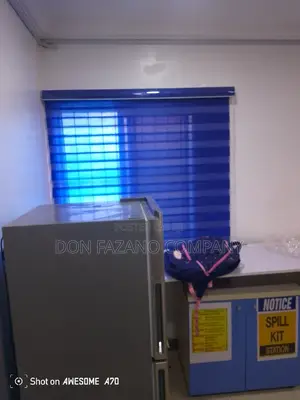 Window Blind