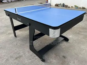 2 in 1 Snooker Board and Table Tennis Board