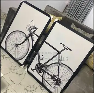 Luxury Bicycle Frame With Glass Finishing