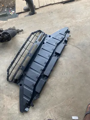 Front Bumper Grill 2010 Honda Crosstour