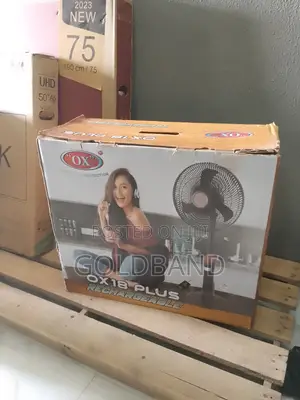 Efficient OX 18" Rechargeable Standing Fan