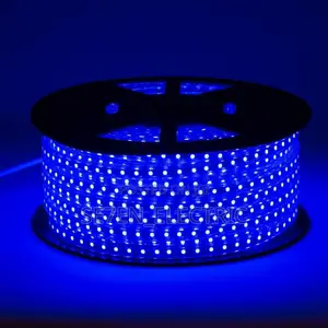 LED Rope Light