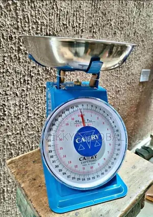 20kg Camry Scale