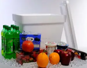 50 Liters Styrofoam Cooler. Polystyrene Box