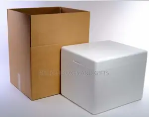30l Medical Styrofoam Cooler, Polystyrene Box