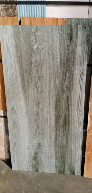 Indian Gray Wooden 60x120