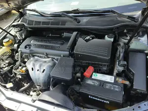 Toyota Camry 2009 Gray