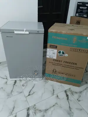 95 Litres Hisense 120sh Chest Freezer