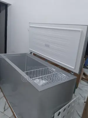Efficient 420 Litres Hisense Fc-55dd Chest Freezer