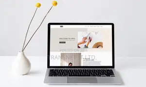 Business/Corporate Website Design