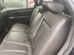 Hyundai Santa Fe Limited 2010 Blue