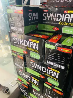 220ah Syndian Batteries