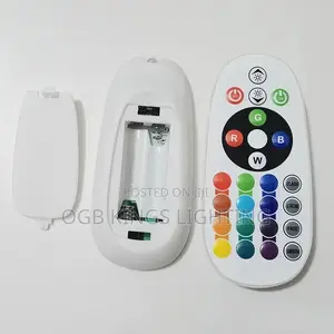 Power Plug RGB LED Strip 1000w IR Remote Controller 220v