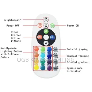 Power Plug RGB LED Strip 1000w IR Remote Controller 220v