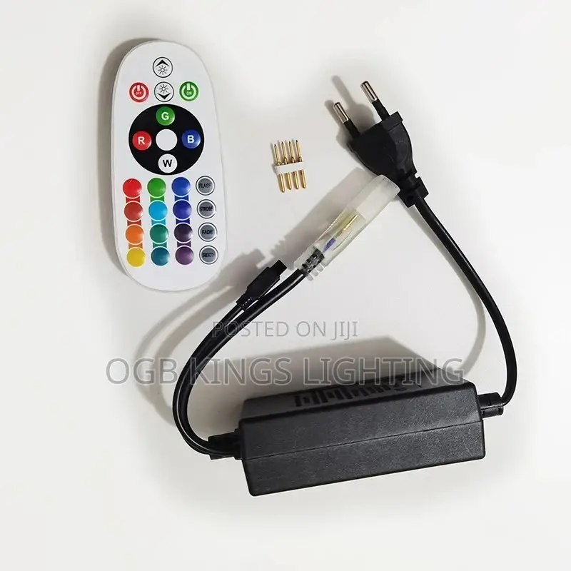 Power Plug RGB LED Strip 1000w IR Remote Controller 220v