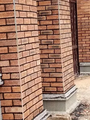 Best South Africa Bricks