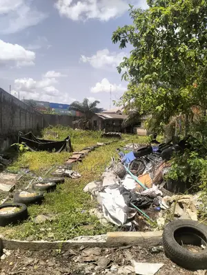 A Full Plot With Irregular Shape at Amuwo Odofin