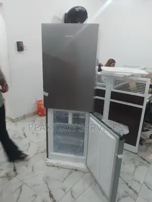 Top Selling Bottom Freezer Hisense Refrigerator (Ref-29cda)