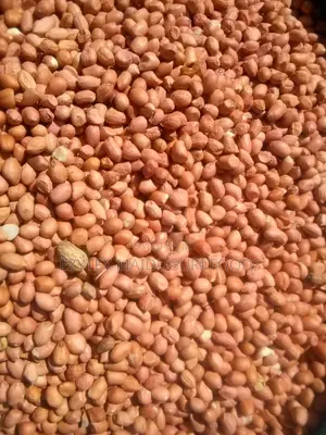 Chad Peanuts (Groundnuts)100kg