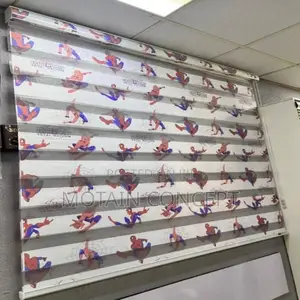 Day and Night Window Blinds