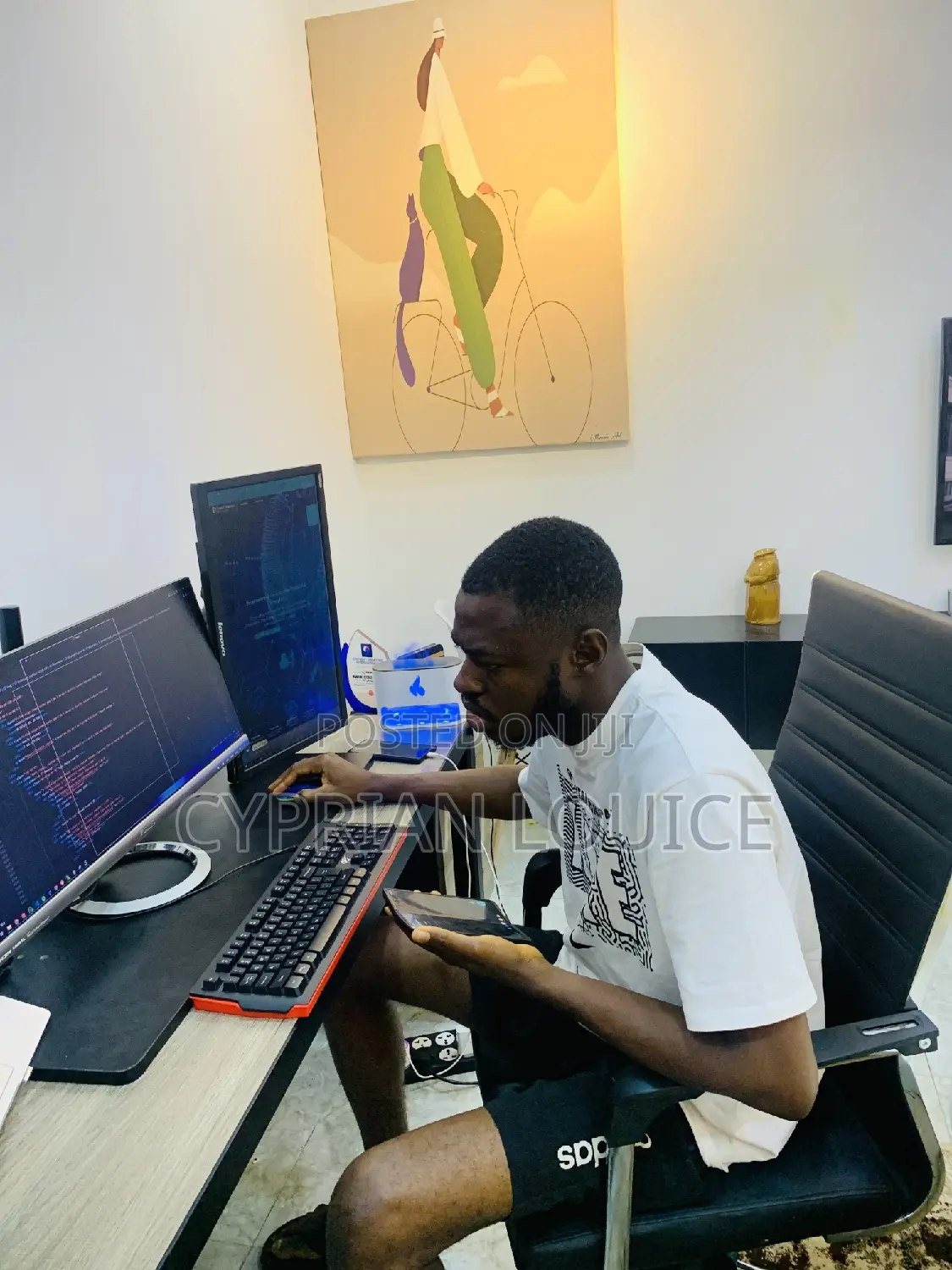 Website Developer