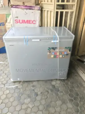 Skyrun Deep Freezer 200litres