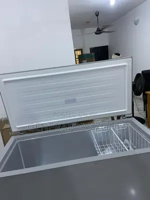Effective FRZ Fc55dd Chest Freezer