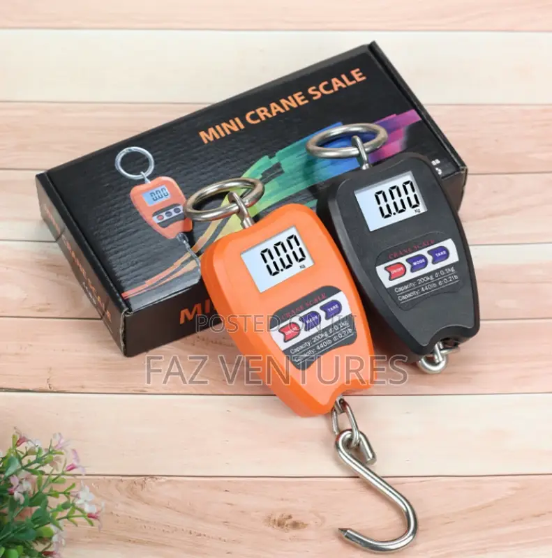 Crane Scale 200kg Digital With Abs