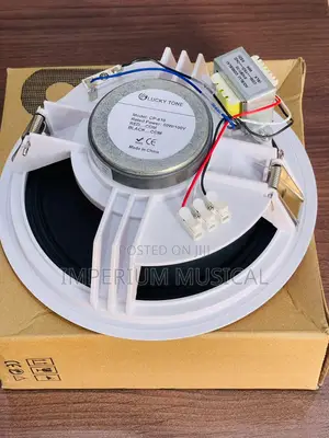 50watts Ceiling Woofer Speakers