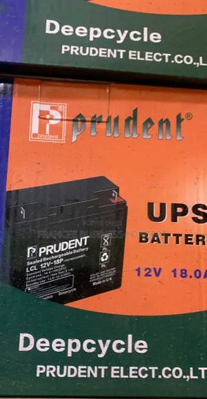 Prudent UPS Battery