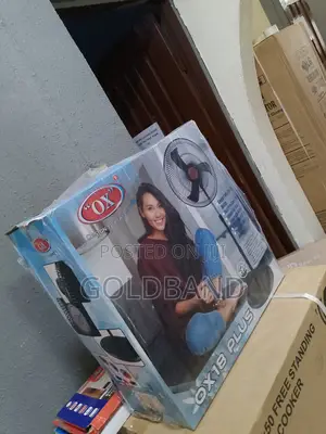 Efficient 18" OX Standing Fan
