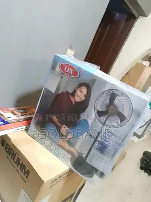 Efficient OX 18" Standing Fan