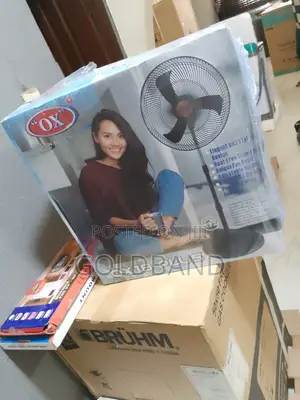 OX PLUS 18" Standing Fan