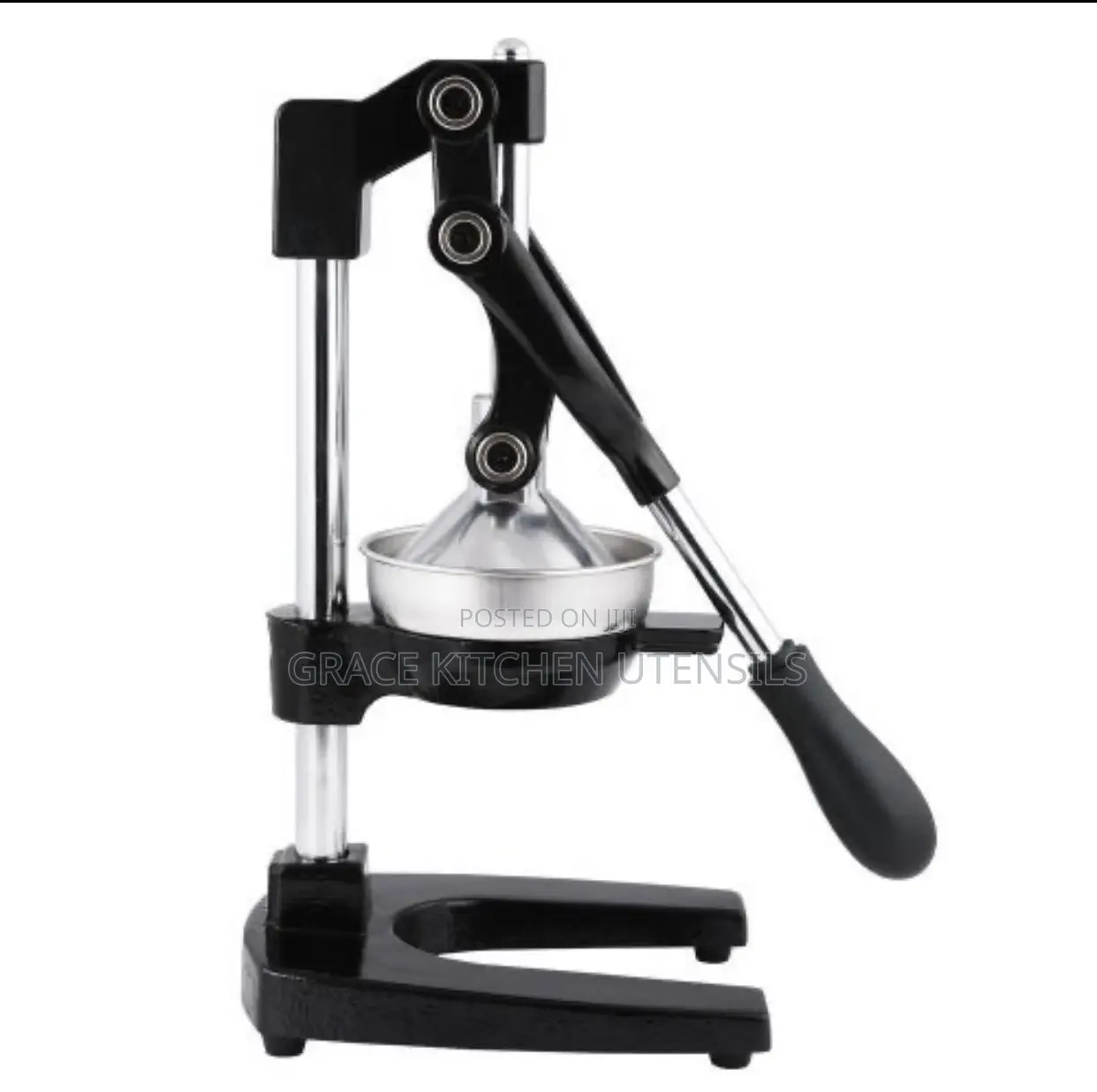 Commercial Standing Juicer Extractor