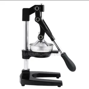 Commercial Standing Juicer Extractor