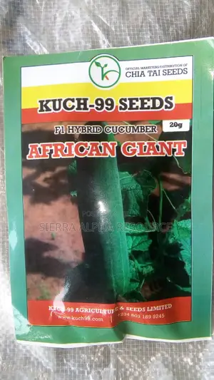 Cucumber Seeds