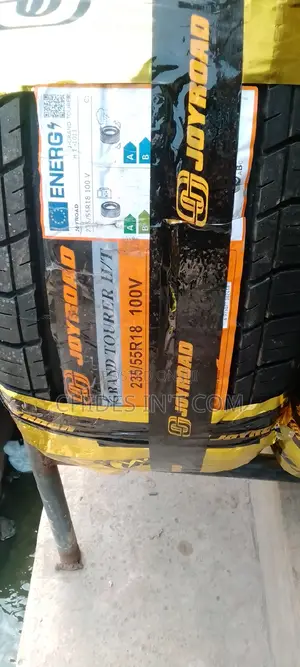 235/55/18 JOY ROOD Tire