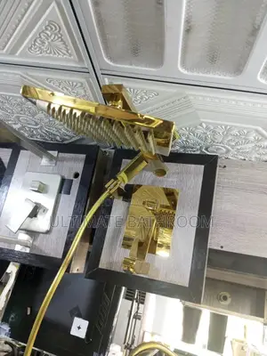 High Quality Gold 5ways Conceal Shower