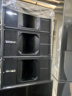 Professional Line Arry Speaker