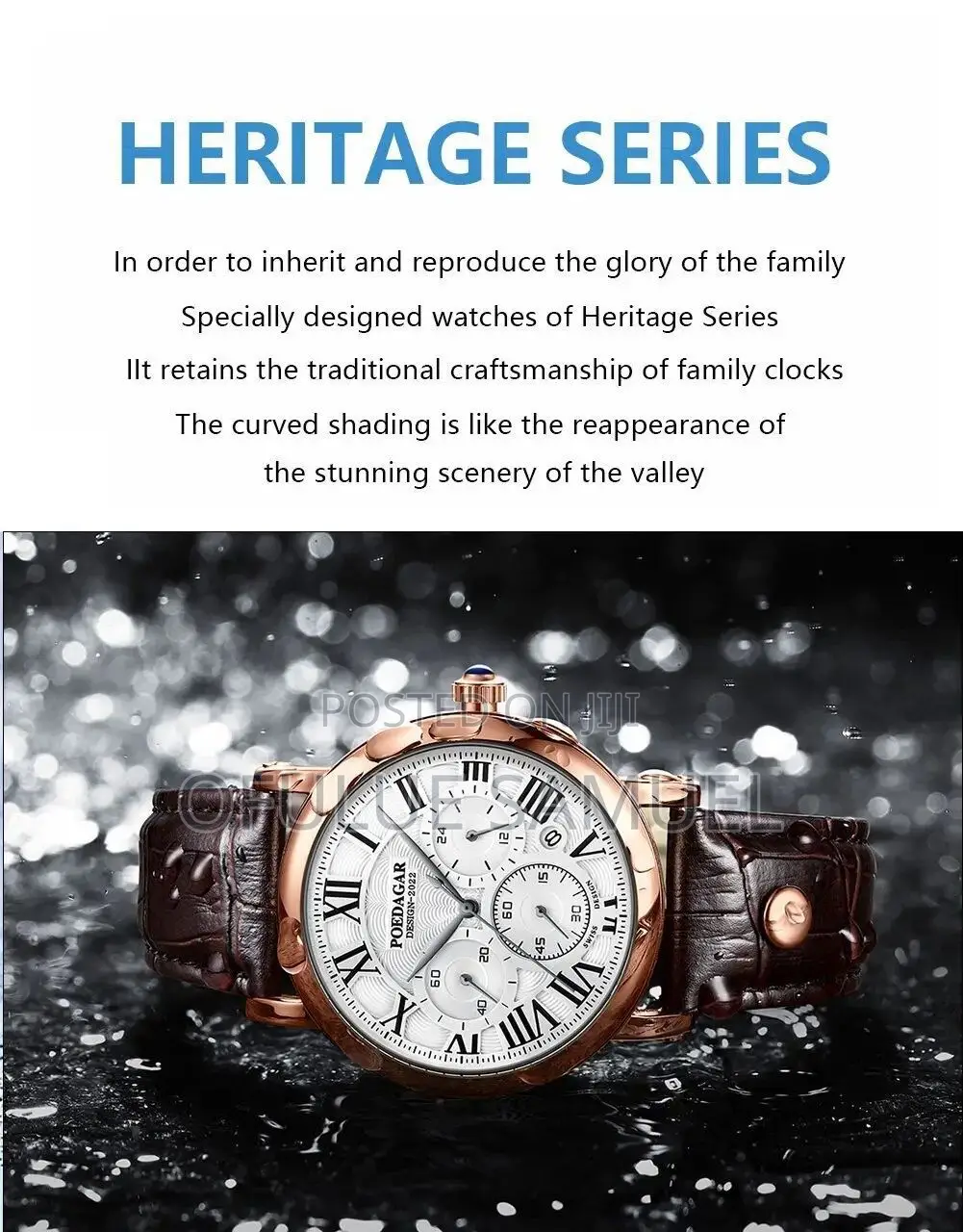 Poedagar Genuine Leather Watch